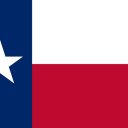 TX-08 House Election Winner